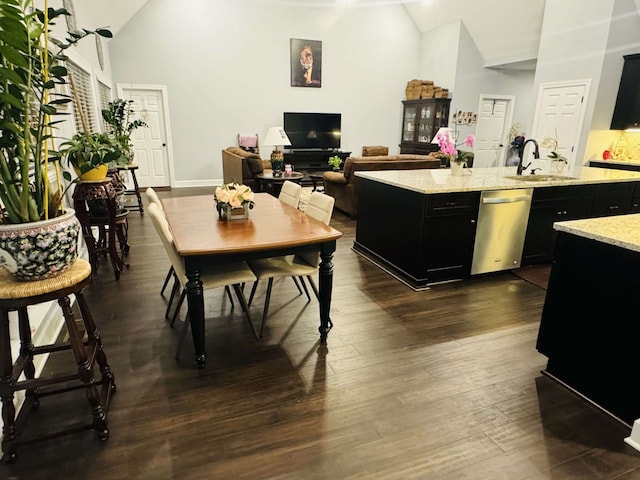 interior space featuring sink, dark wood-type flooring, and high vaulted ceiling