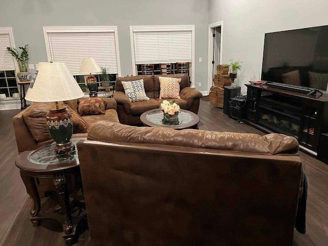 living room with dark hardwood / wood-style flooring