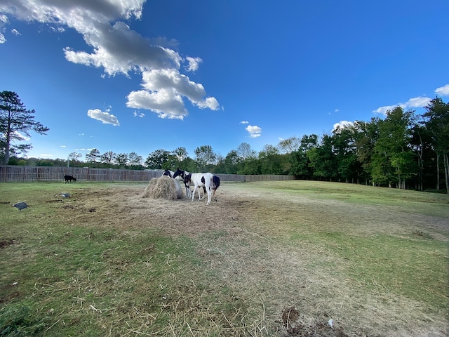 view of yard with a rural view