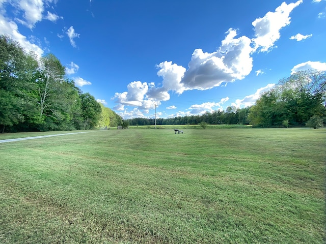 view of yard with a rural view