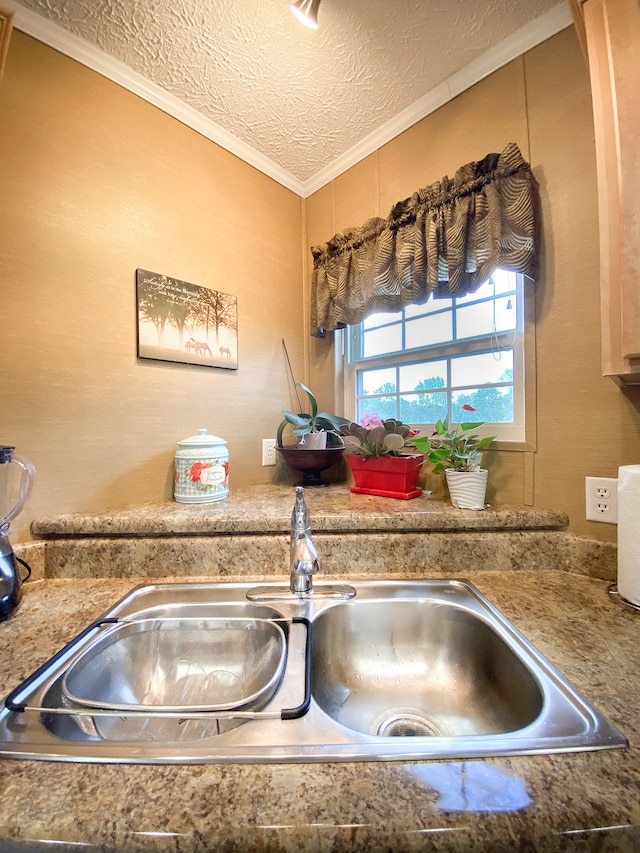 details with a textured ceiling, crown molding, and sink