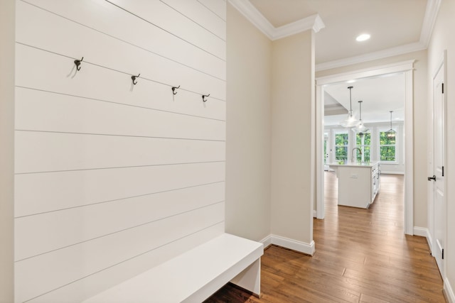 mudroom featuring hardwood / wood-style flooring, sink, and crown molding