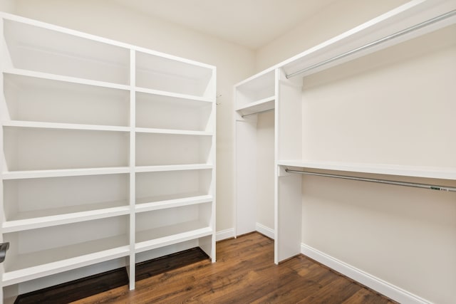 walk in closet with dark wood-type flooring