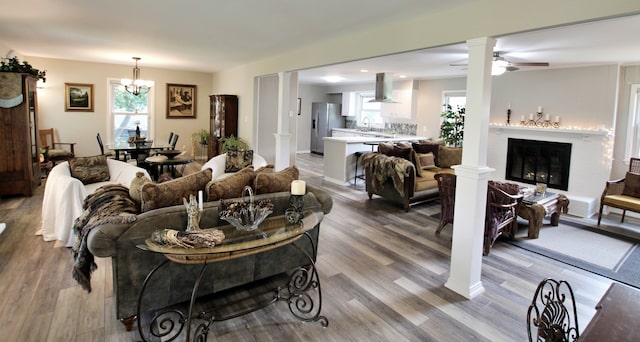 living room featuring ceiling fan with notable chandelier and hardwood / wood-style floors