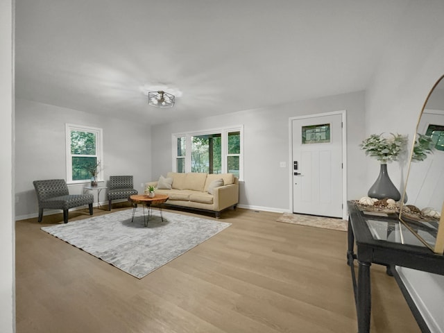 living room with light hardwood / wood-style flooring