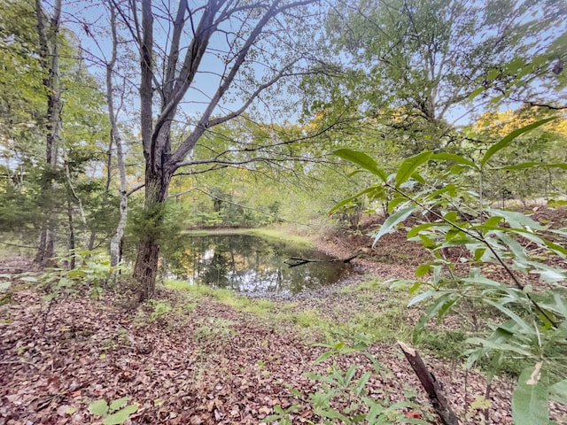 view of landscape featuring a water view