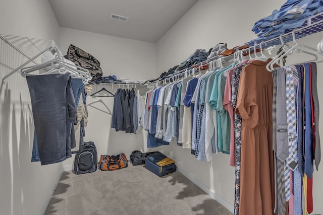 spacious closet with carpet flooring