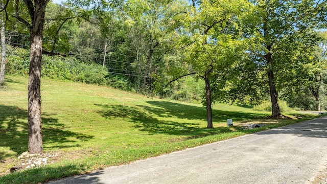 Listing photo 3 for 0 Roy Dodson Rd, Columbia TN 38401