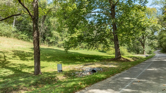 Listing photo 2 for 0 Roy Dodson Rd, Columbia TN 38401