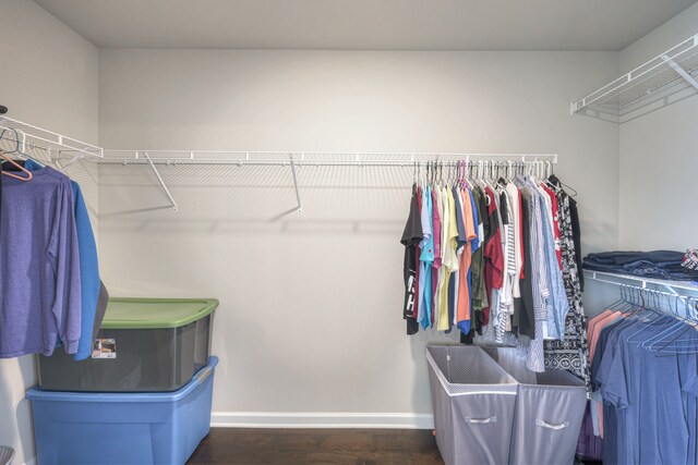 walk in closet with dark wood-type flooring