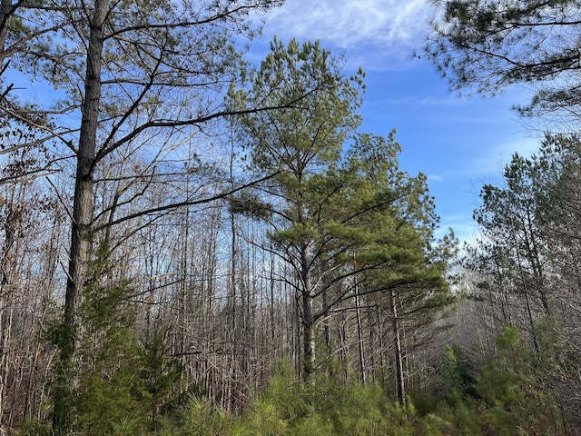 0 Hood Ln, Cedar Grove, TN 38321