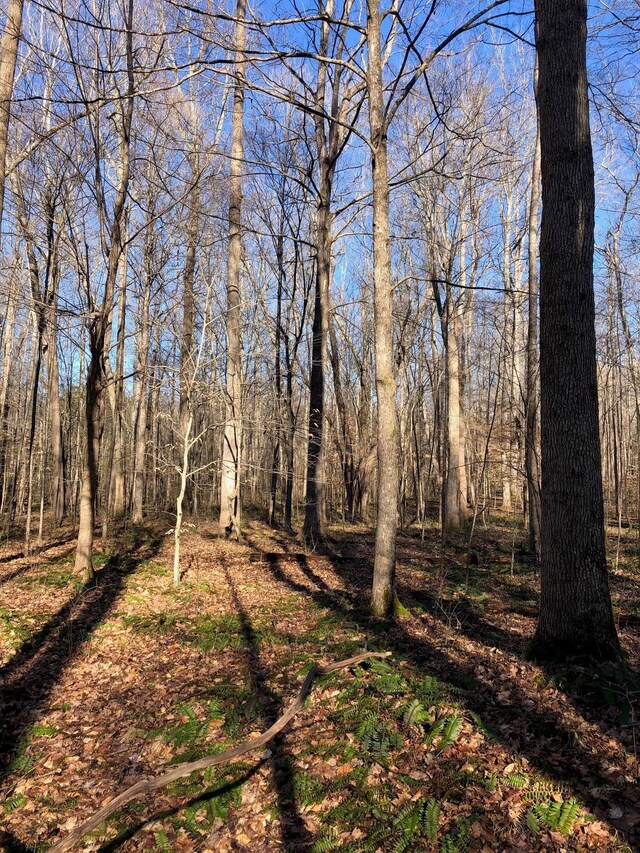 0 Hood Ln, Cedar Grove, TN 38321