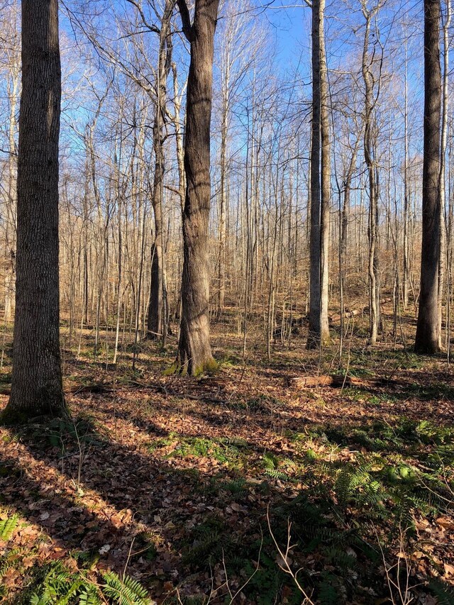 0 Hood Ln, Cedar Grove, TN 38321