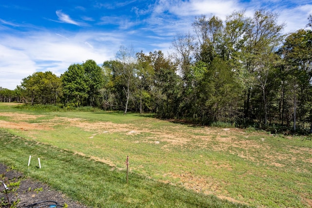 6821 Springwater St, Smyrna, TN 37167 - view of yard