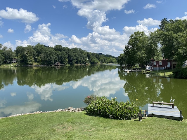 property view of water