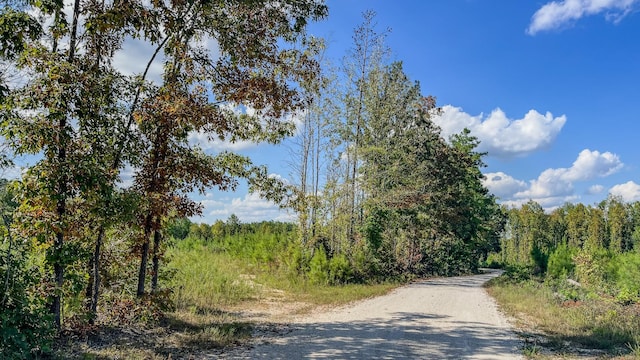 0 Pettijohn Creek Rd, Henry, TN 38231 - photo 5