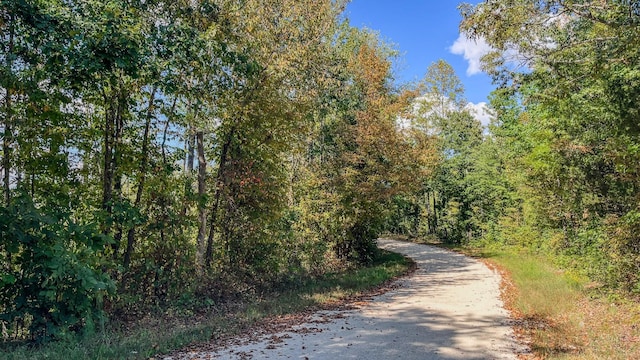 0 Pettijohn Creek Rd, Henry, TN 38231 - photo 4