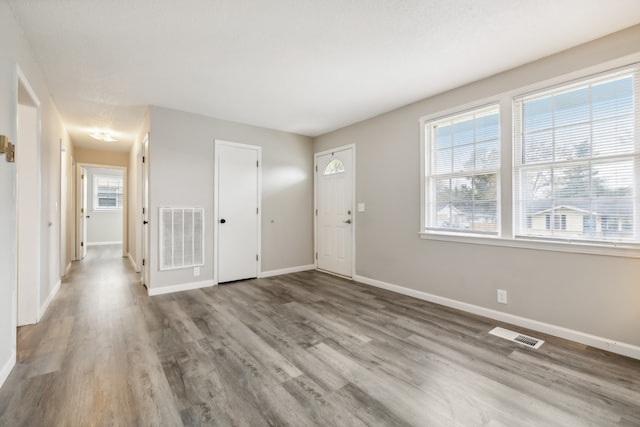 foyer entrance featuring wood-type flooring