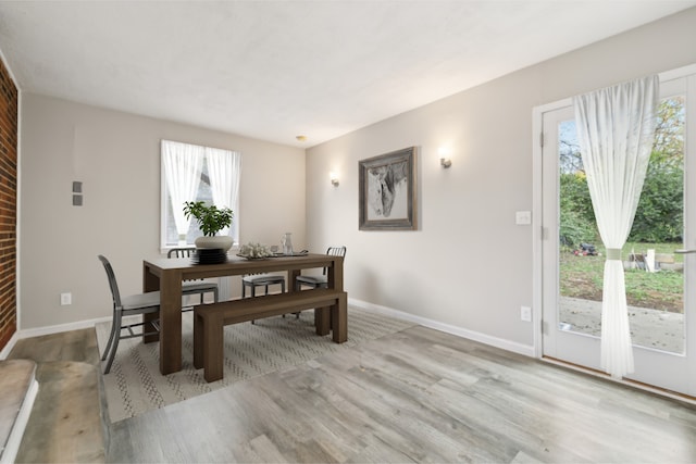 dining area with light hardwood / wood-style floors and a wealth of natural light