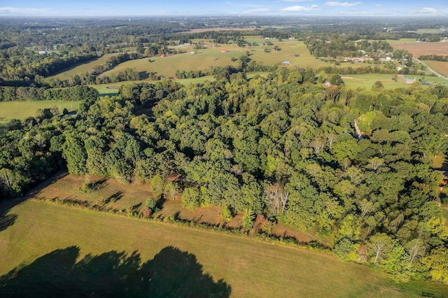 aerial view with a rural view