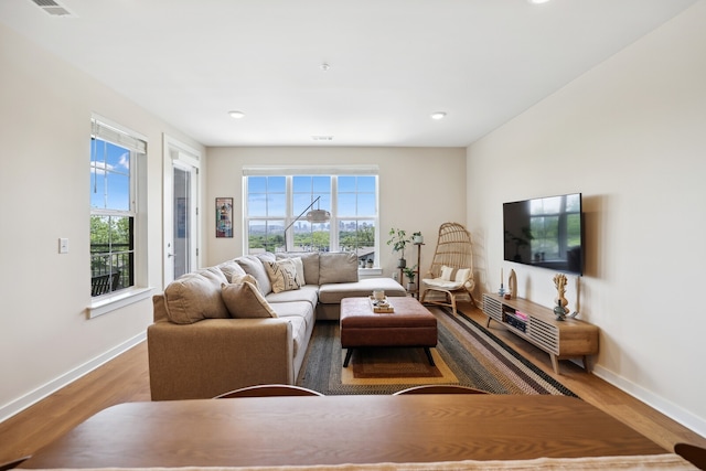 living room with a healthy amount of sunlight and wood-type flooring