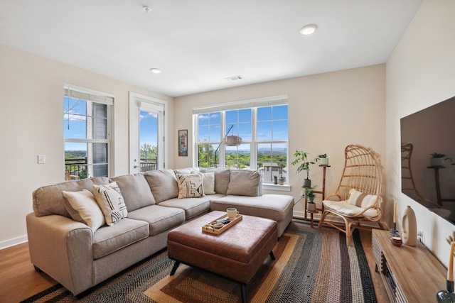 living room featuring wood-type flooring