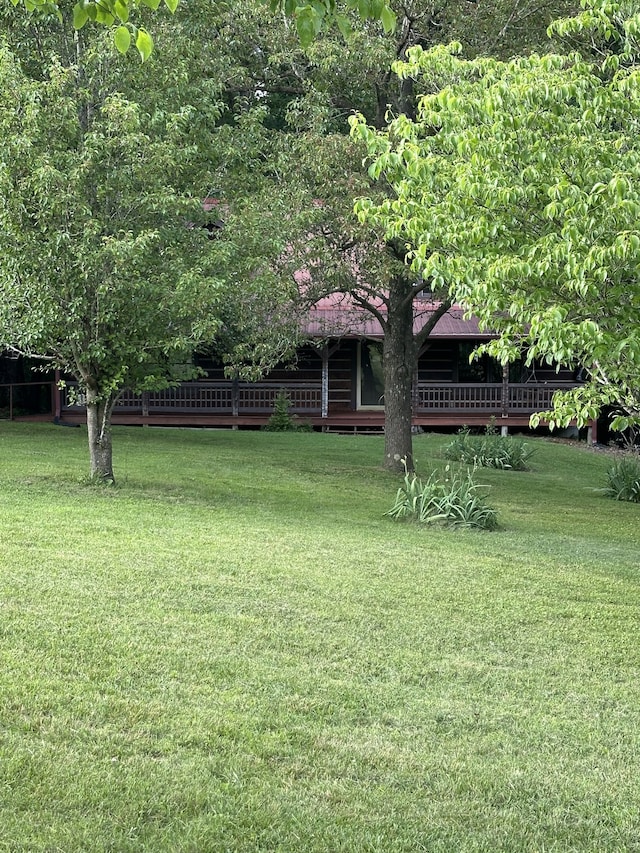 view of yard featuring a deck