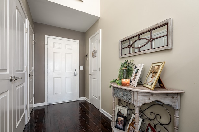 entryway featuring dark wood-type flooring