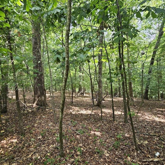 view of landscape