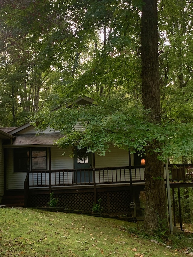 back of house featuring a yard and a wooden deck