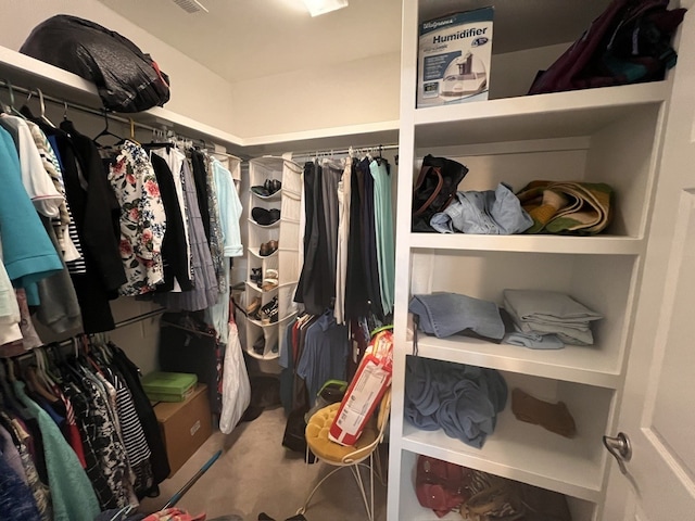 view of walk in closet