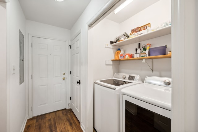 laundry area featuring separate washer and dryer and dark hardwood / wood-style flooring