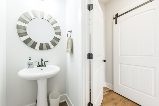 bathroom with wood-type flooring