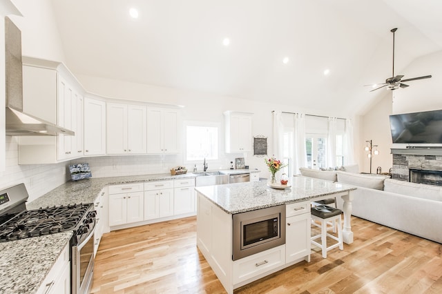 kitchen with a stone fireplace, lofted ceiling, stainless steel appliances, and plenty of natural light