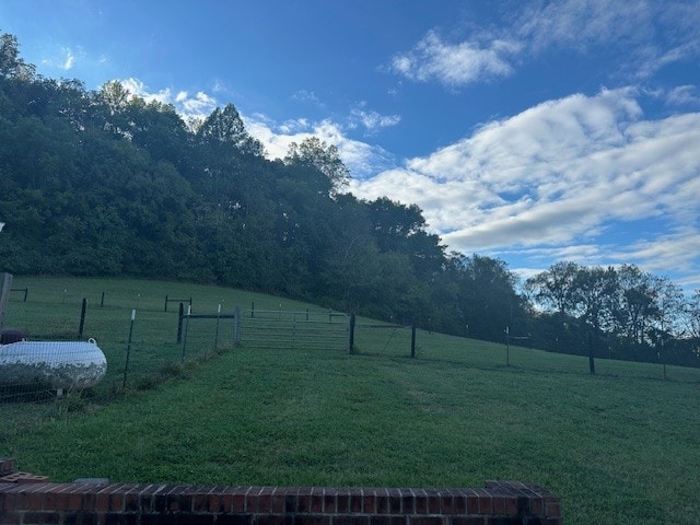 view of yard featuring a rural view