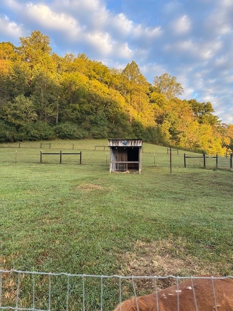 view of yard with a rural view