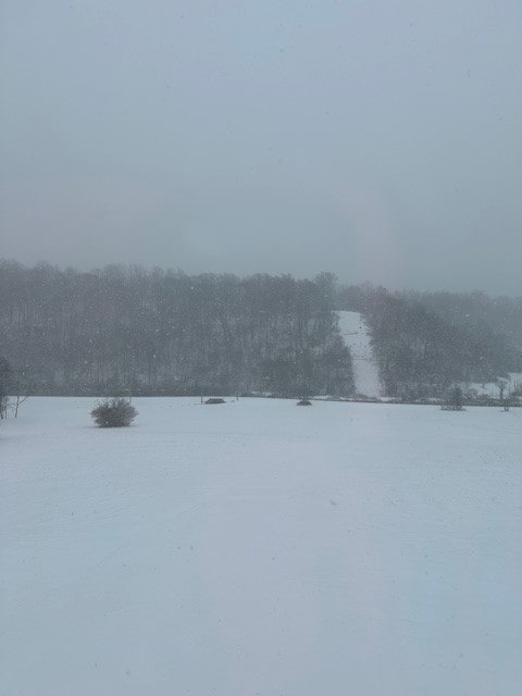 view of yard featuring a water view