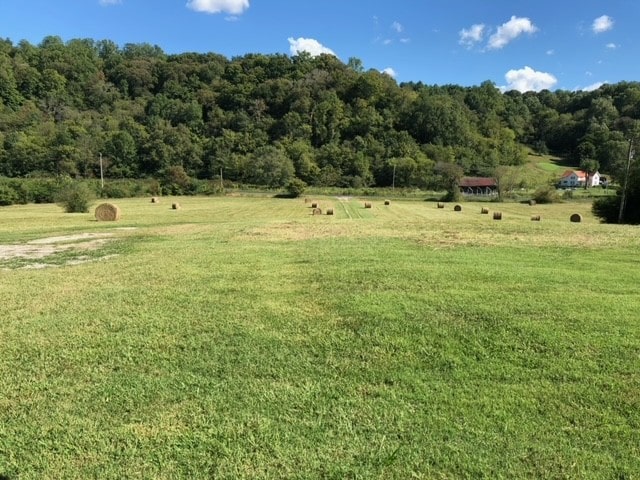 view of yard with a rural view