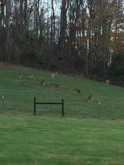 surrounding community with a lawn