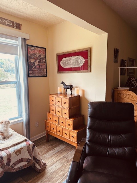 bedroom with hardwood / wood-style flooring and a textured ceiling