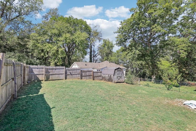 view of yard with a storage shed