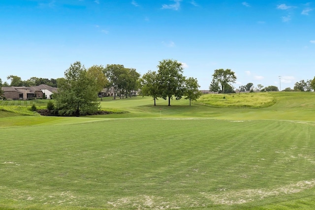 view of community featuring a lawn