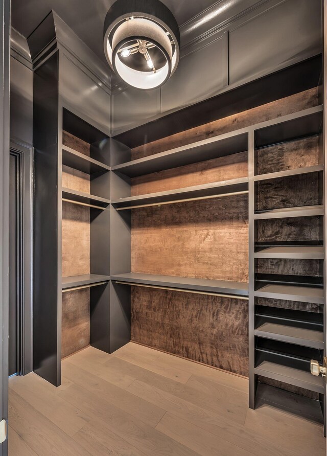 walk in closet featuring hardwood / wood-style flooring and elevator