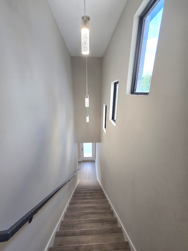 staircase featuring hardwood / wood-style flooring