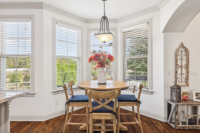 dining space with dark hardwood / wood-style flooring and plenty of natural light