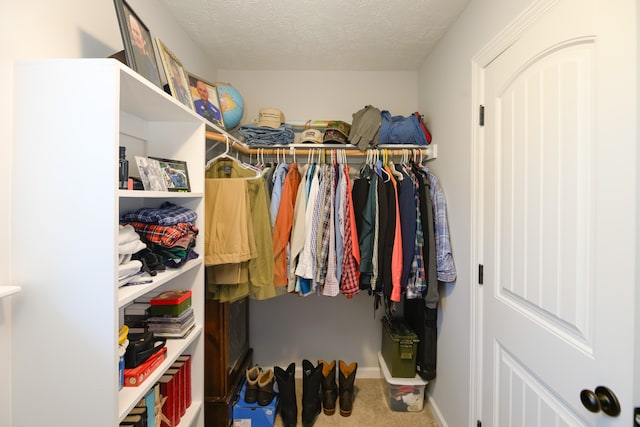 spacious closet featuring carpet flooring