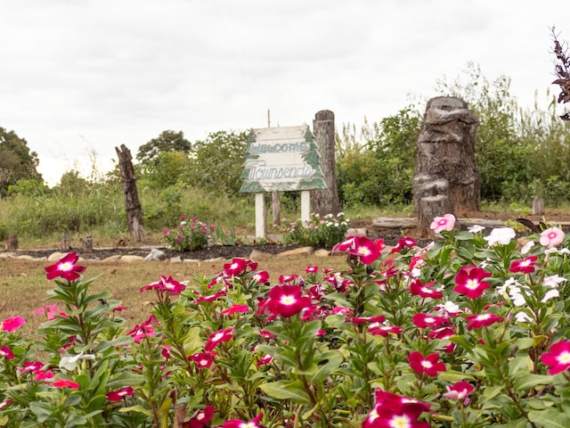 view of surrounding community