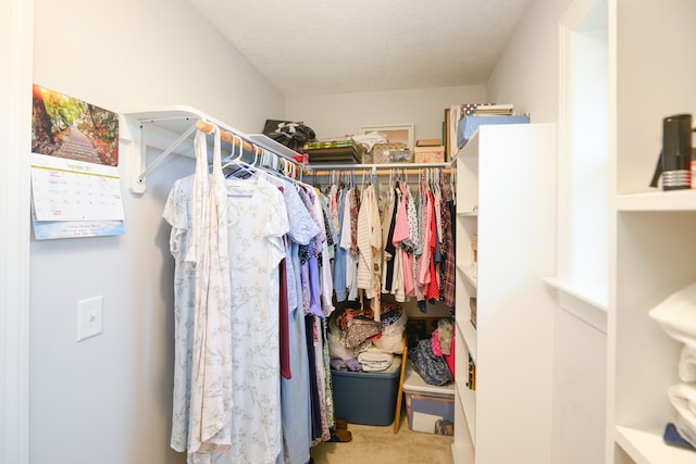 walk in closet with carpet