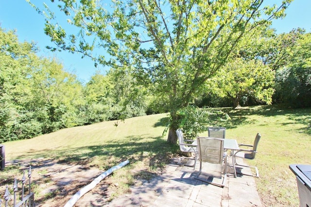 view of yard featuring a patio area