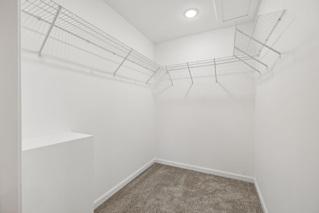 walk in closet with carpet